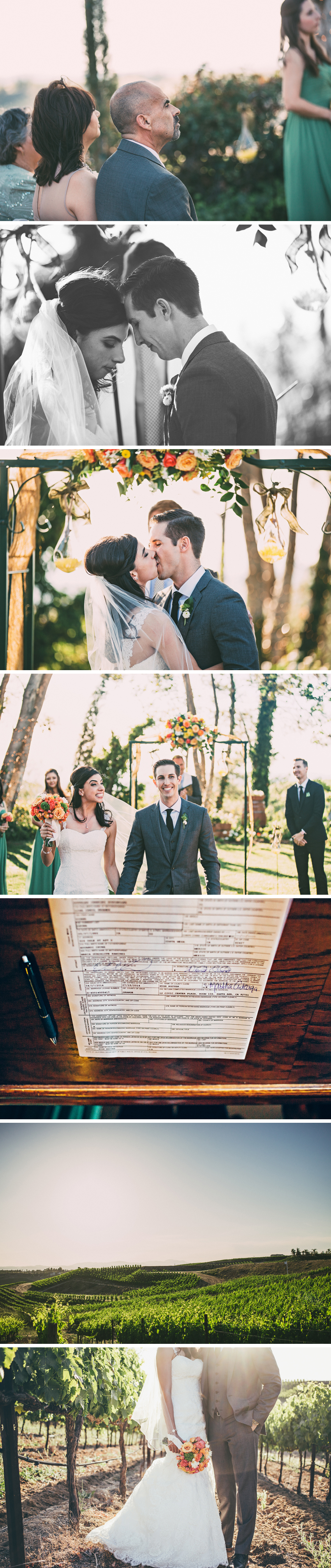 Falkner Winery Wedding